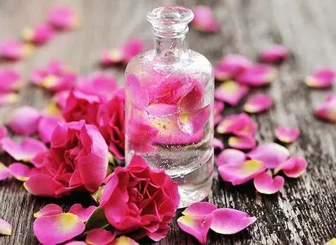 گلاب درجه یک و اصیل + قیمت عمده