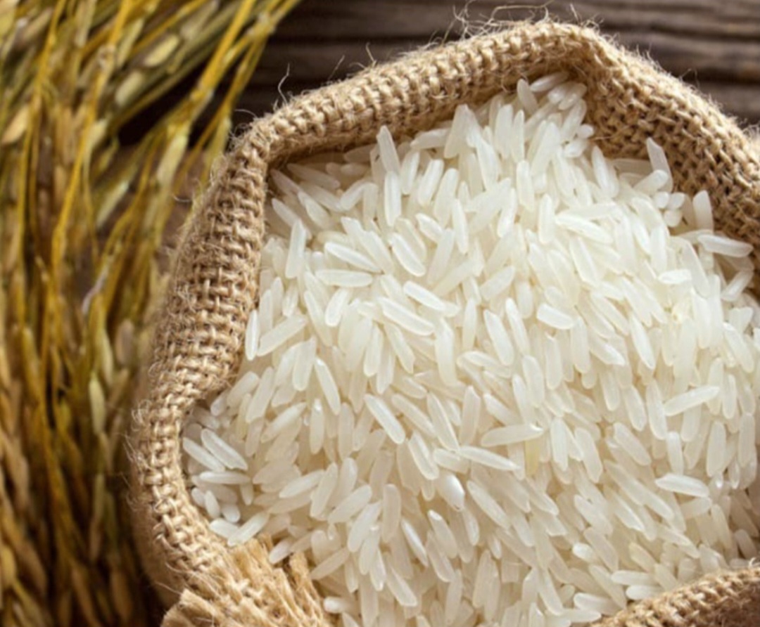 خرید برنج طارم هاشمی مرغوب و درجه یک + قیمت خرید استثنائی