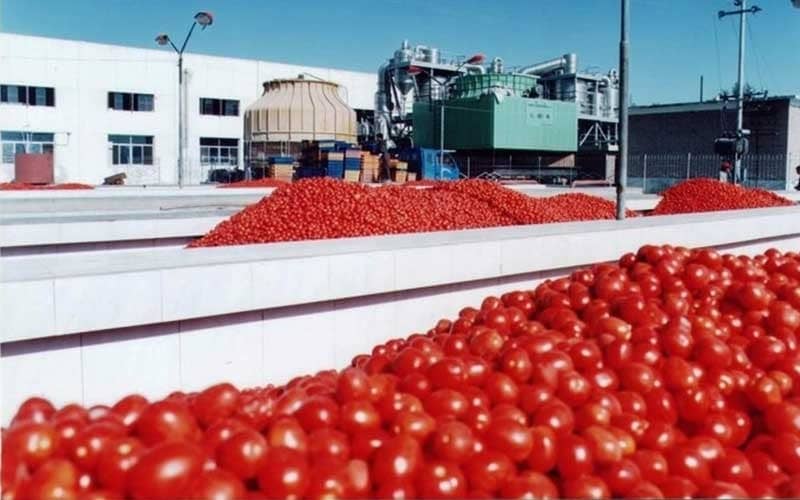 بهترین پخش عمده رب گوجه فرنگی خالص صادراتی