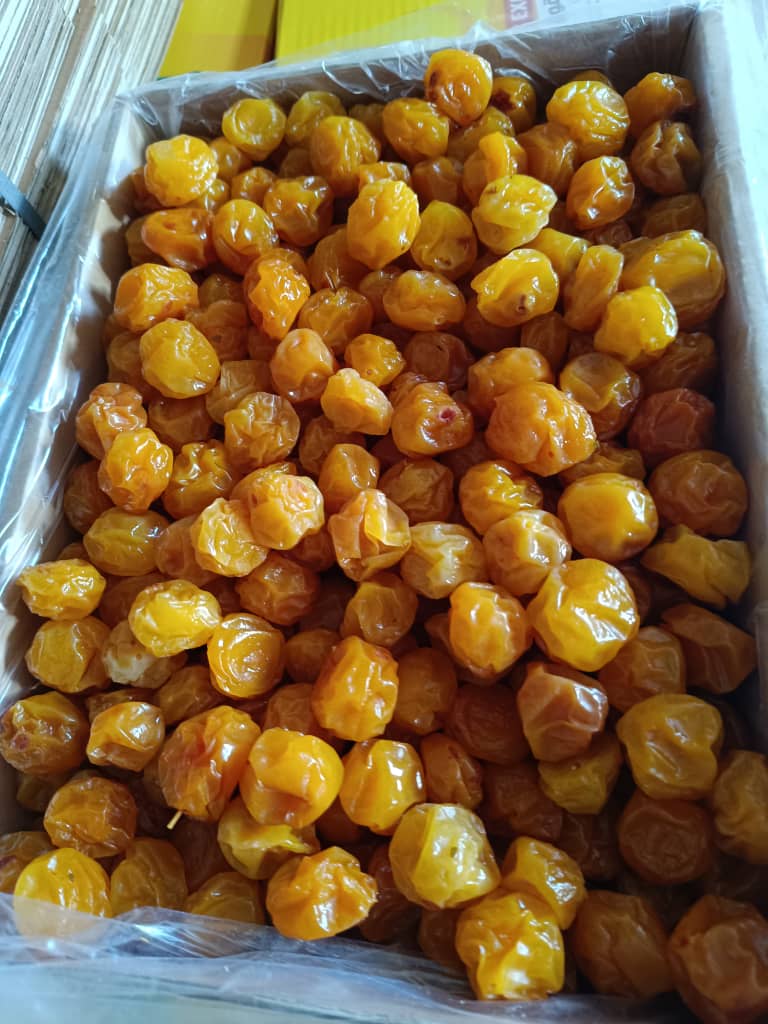 آلوچه سیدی خوش رنگ عمده