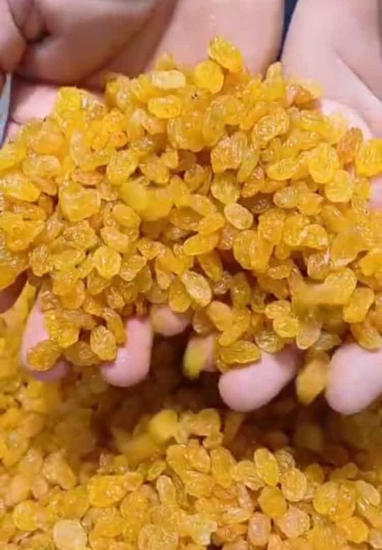 کشمش محصولی جدید با قیمت مناسب و تناژ بالا