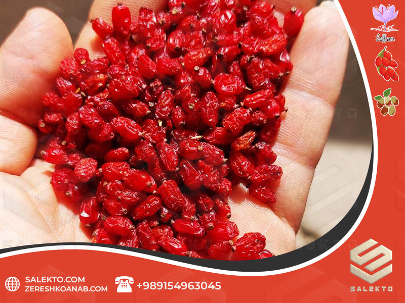 زرشک پفکی مرغوب خراسان جنوبی با دانه‌های یاقوتی + فروش عمده و قیمت استثنائی