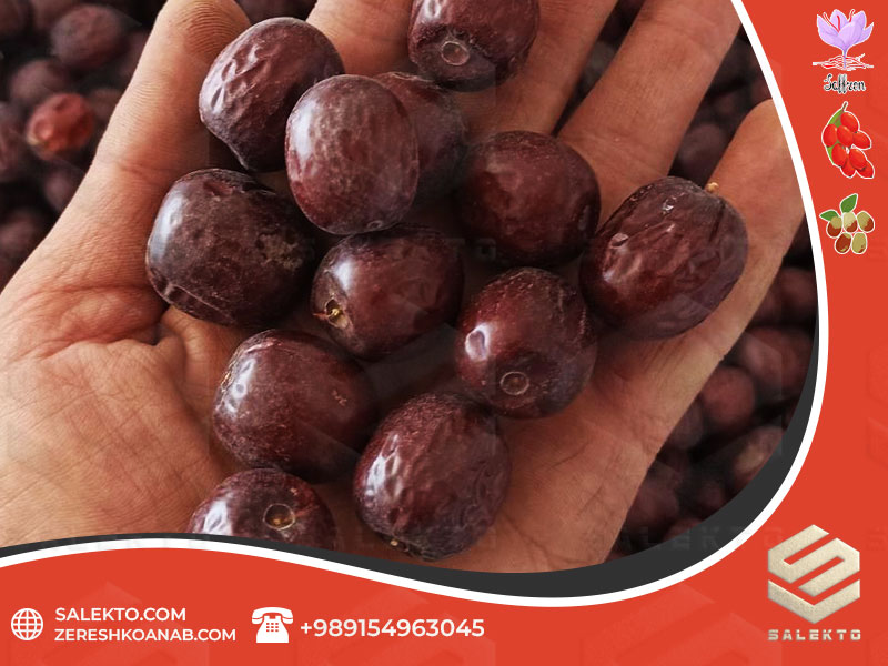 عناب خشک صادراتی بیرجند با بسته‌بندی استاندارد و کیفیت عالی + فروش آنلاین
