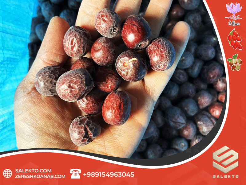 عناب خشک درجه یک بیرجند با طعم ملایم و ارزش غذایی بالا + فروش ویژه و خرید آنلاین