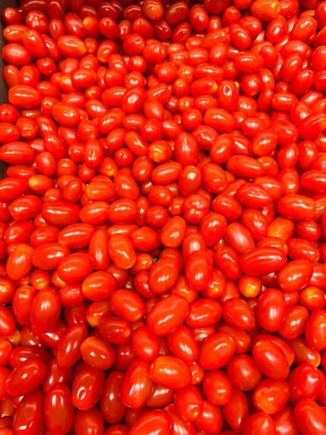 رب گوجه به سبک رب گوجه خارجی موتی