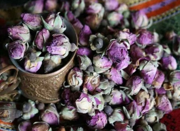 خرید و فروش غنچه گل محمدی خشک + شرایط فوق العاده
