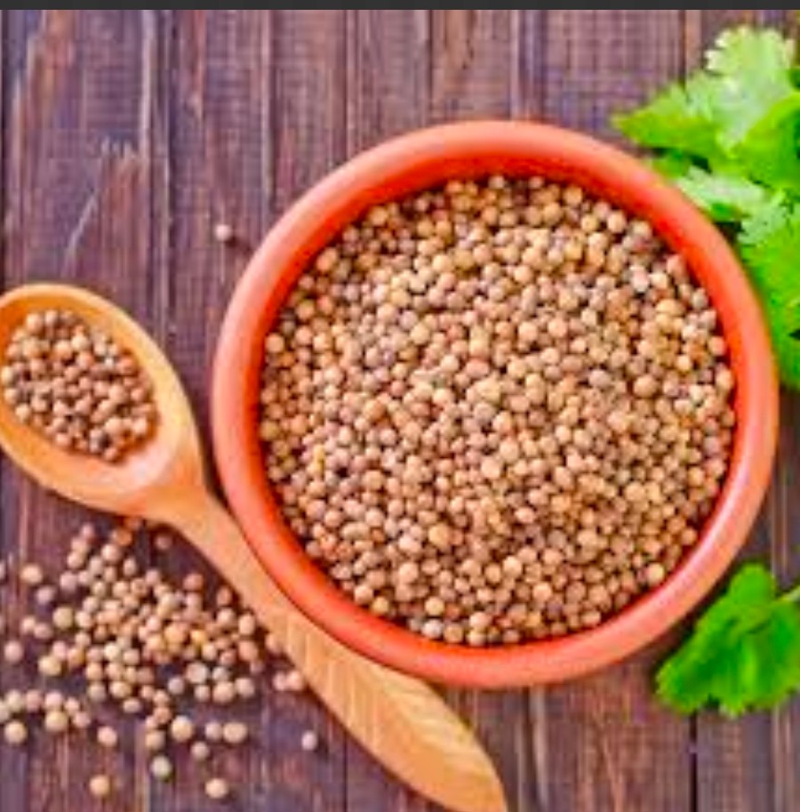 خرید تخم گشنیز عمده آنلاین در اردبیل از آناهیتا
