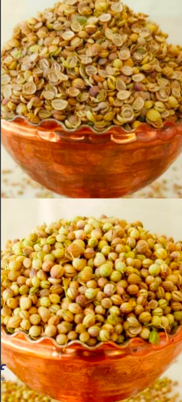 خرید آنلاین دانه گشنیز درخوزستان از آناهیتا گشنیز