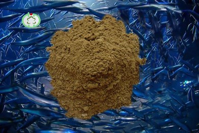 خرید پودر ماهی برای خوک گاو و علوفه