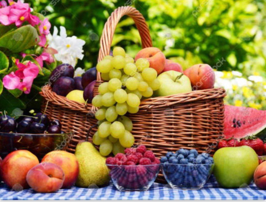 خرید همه مدل سبد های حصیری گل و میوه