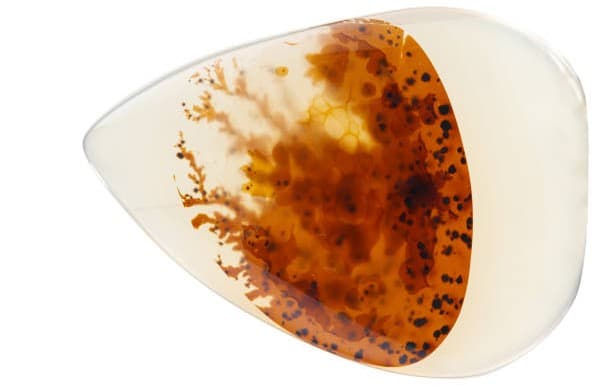 تصویر 2 از قیمت خرید سنگ عقیق شجره  + فروش ویژه