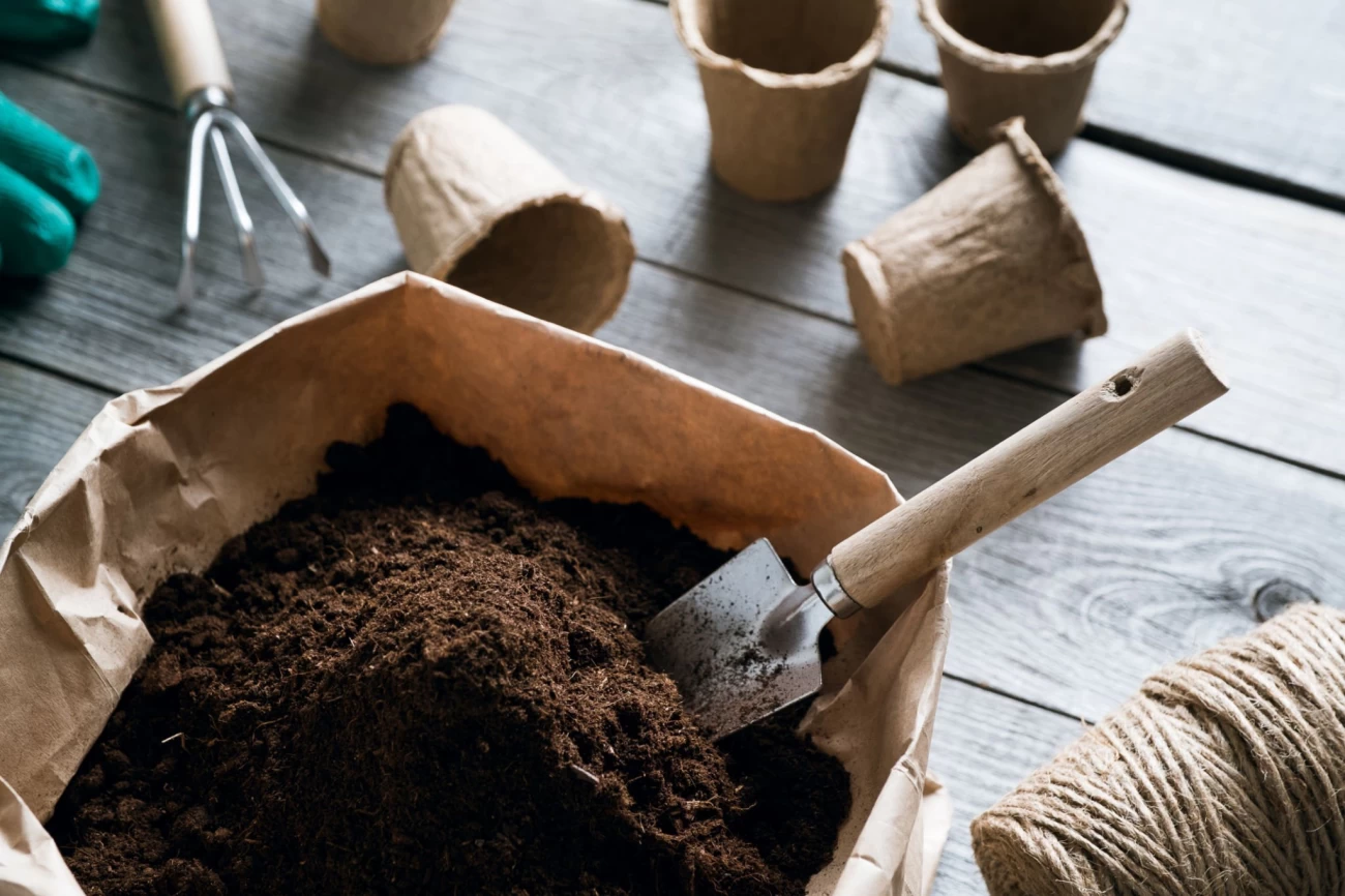 خرید پودر ماهی + استفاده برای کود عالی