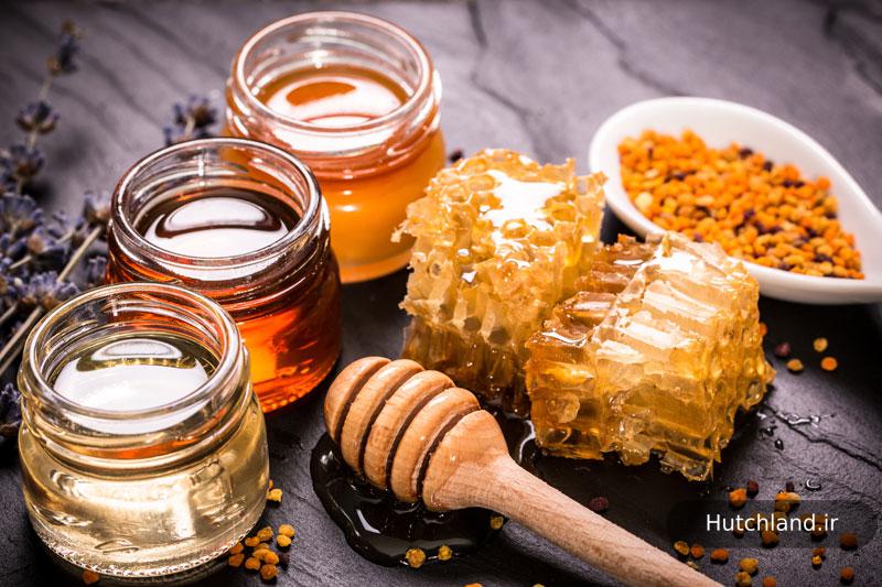 عسل طبیعی کردستان + کیفیت عالی