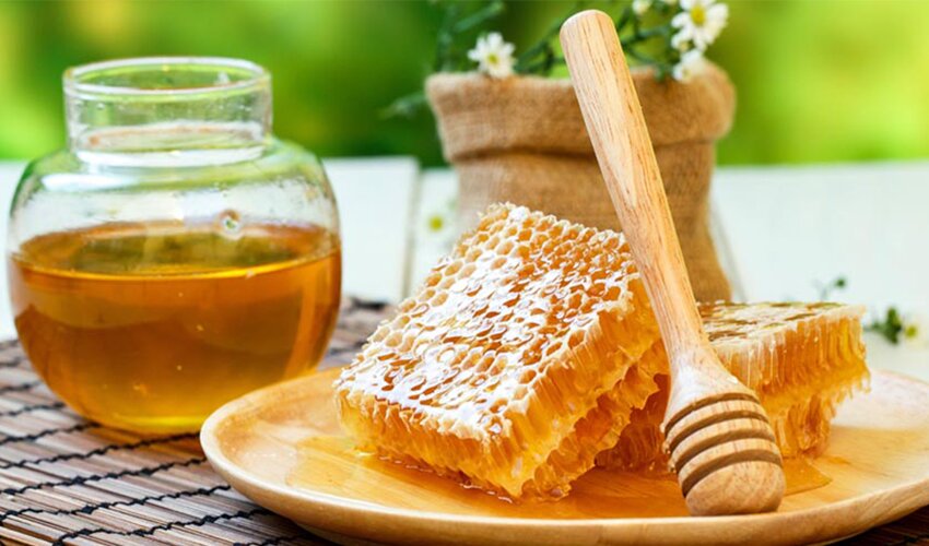 فروش عسل مرغوب طبیعی
