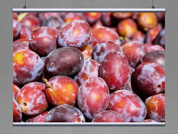خرید آلو بخارا خشک برقانی + قیمت فروش استثنایی