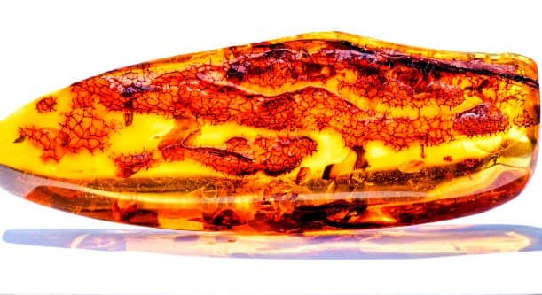 تصویر 1 از قیمت سنگ کهربا + خرید باور نکردنی