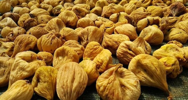 خرید و قیمت انجیر خشک آردی آفتاب خشک + فروش عمده