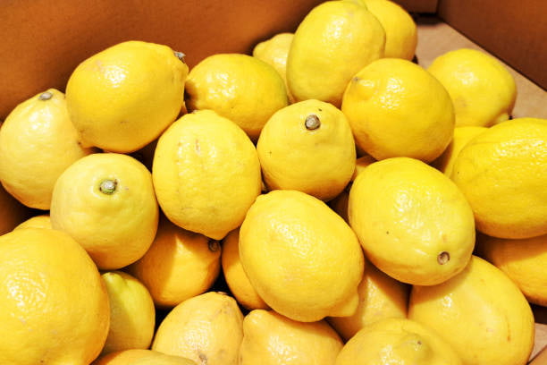 قیمت خرید لیمو شیرین جیرفت با قیمت عمده