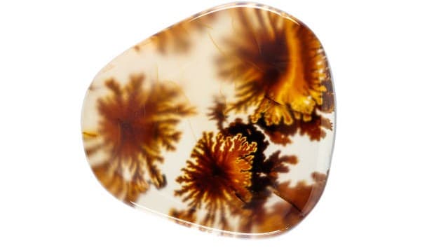 تصویر 5 از قیمت عقیق شجره بهاری + خرید باور نکردنی