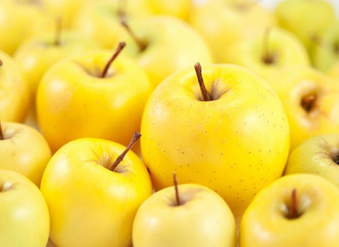 خرید و قیمت سیب زرد لبنانی + فروش عمده