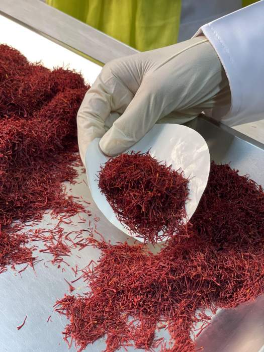 قیمت خرید زعفران قائنات اعلا + فروش ویژه