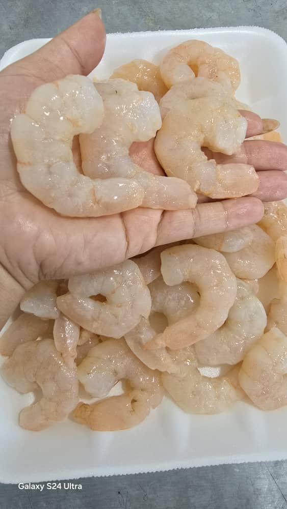قیمت میگو پی یودی در بوشهر