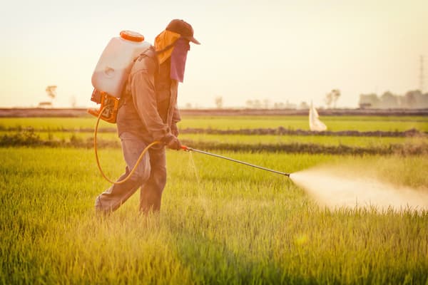 خرید سم پاش کشاورزی دستی با ظرفیت 22 لیتر  + قیمت فروش استثنایی