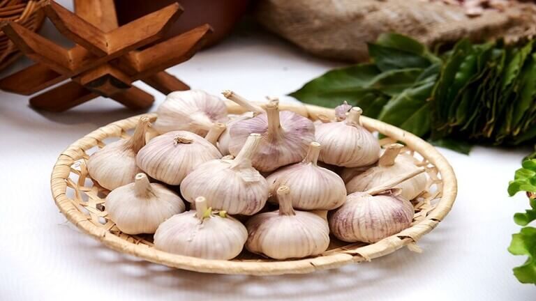 خرید و قیمت سیر خوراکی + فروش عمده