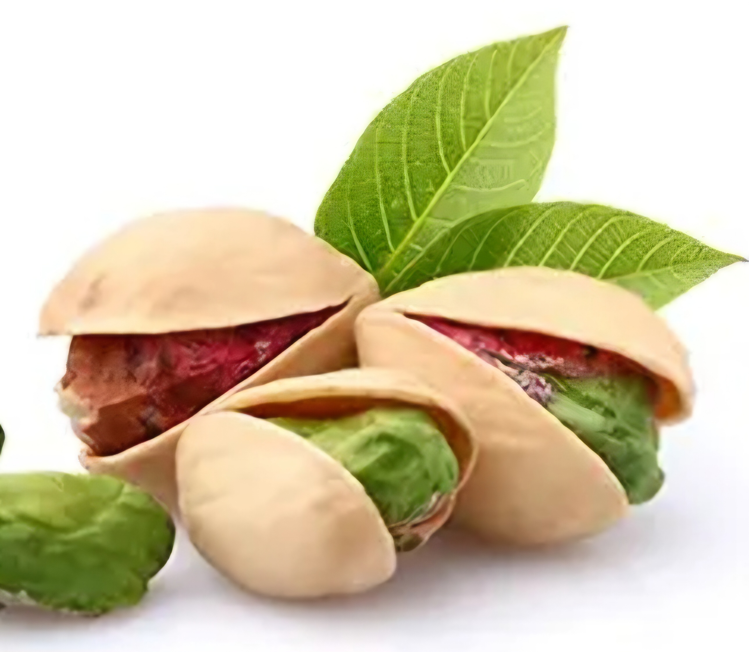 خرید پسته اکبری مرغوب دامغان