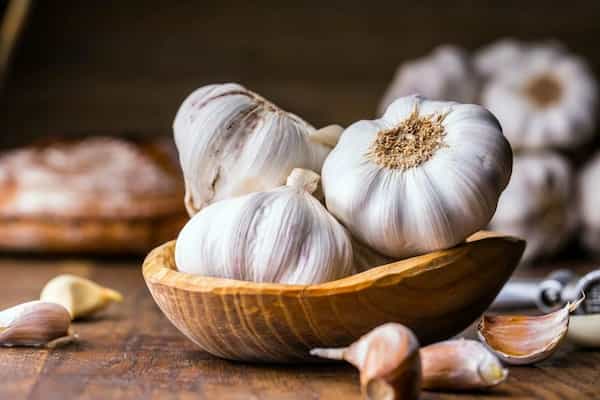 خرید و قیمت انواع سیر کریول