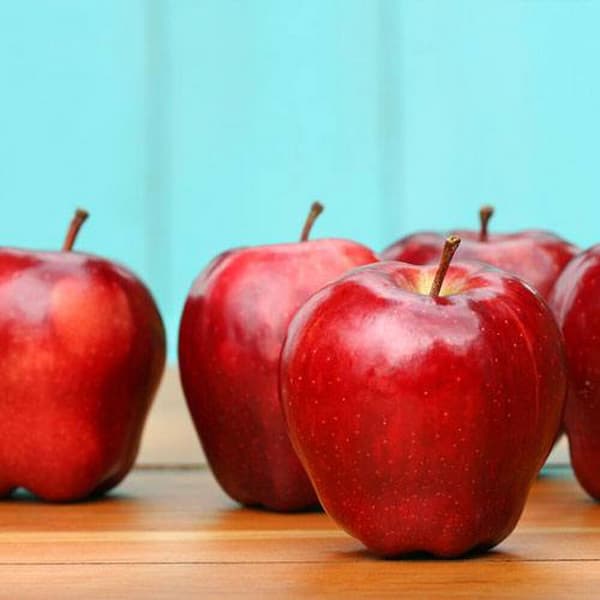 خرید و قیمت  سیب قرمز فوجی + فروش عمده