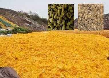 فروش تفاله پرتقال عمده
