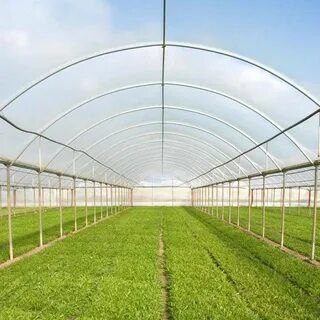 خرید نایلون گلخانه عرض 8 متر به قیمت کارخانه
