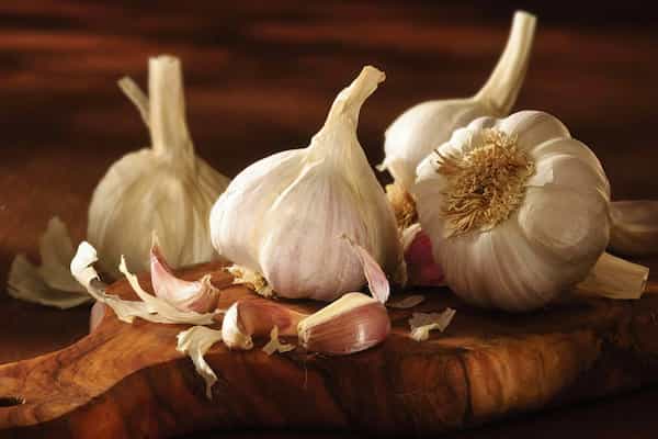 قیمت سیر خاورمیانه + خرید باور نکردنی