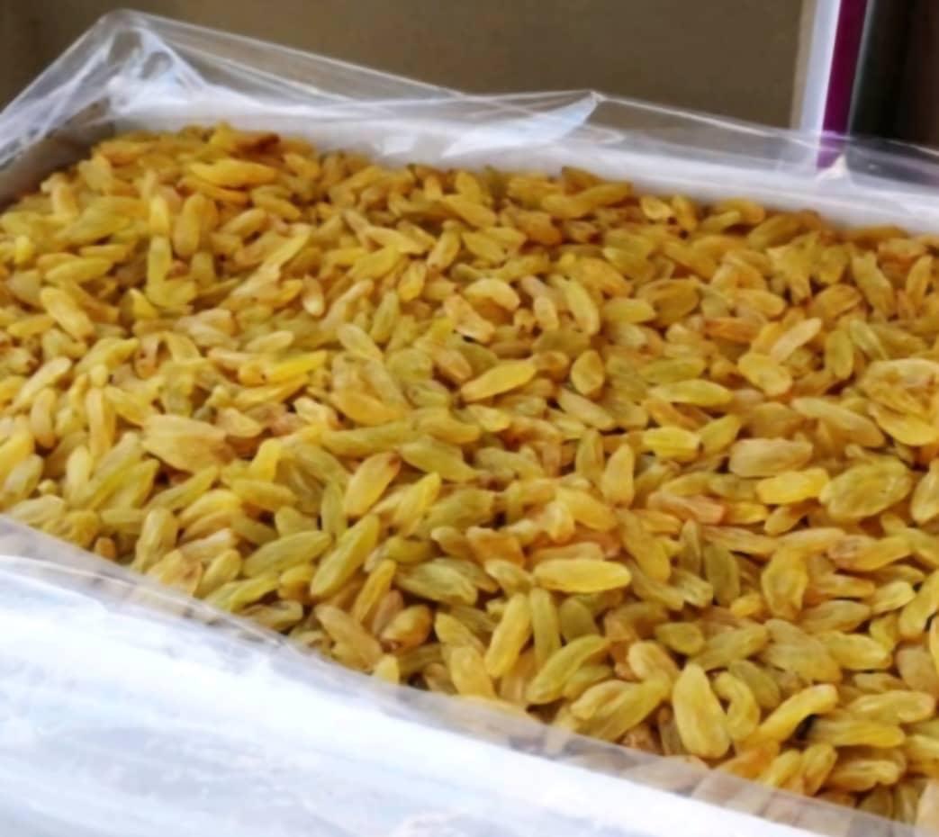 کشمش قلمی گلدن کاشمر