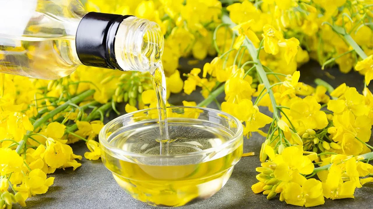 فروش ویژه ی روغن کلزا یک لیتری + خرید آسان