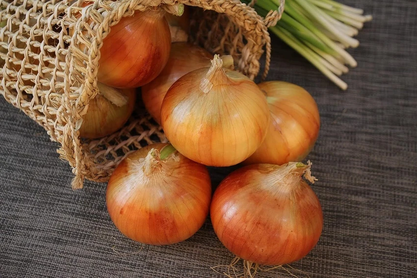 پیاز زرد اعلا فله