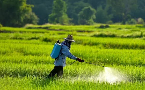 خرید سمپاش کشاورزی دستی + قیمت فروش استثنایی