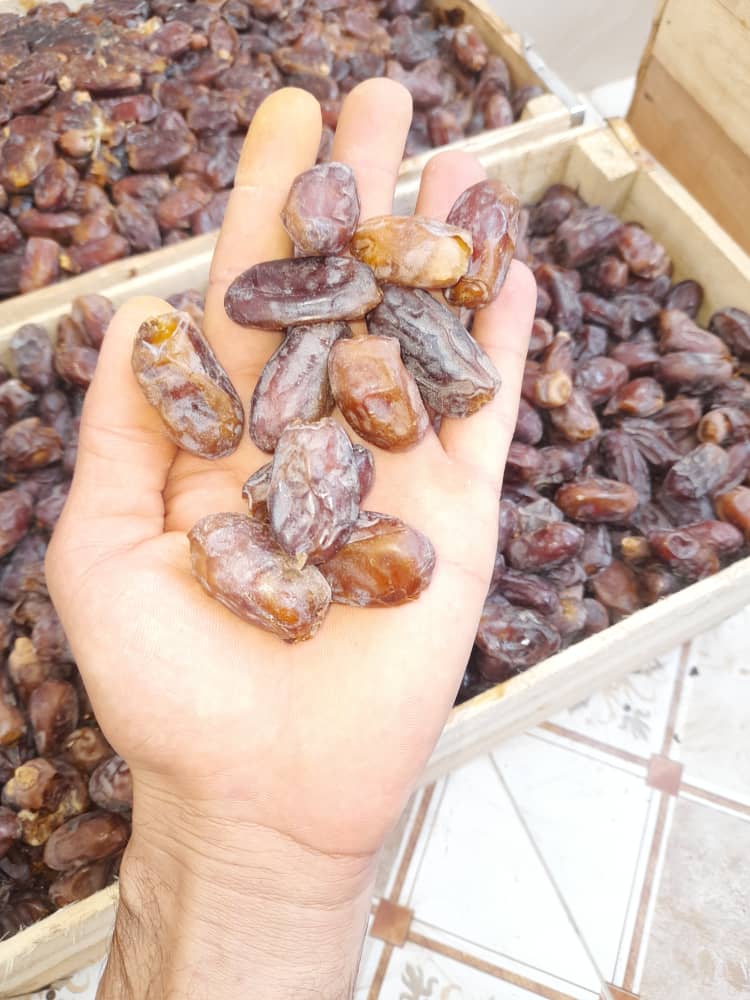 خرید و قیمت خرما استعمران + فروش استثنایی