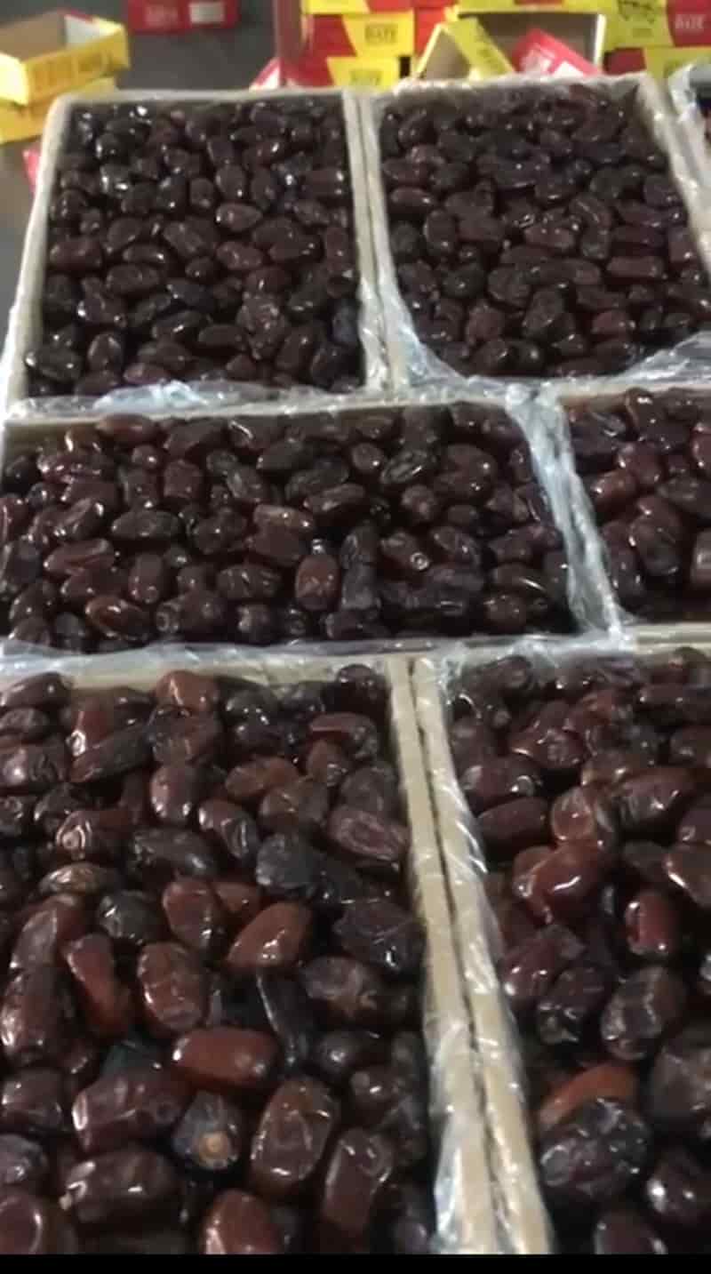 قیمت روز خرما کلوته + خرید