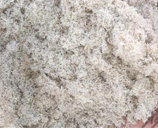 فروش عمده  تفاله پودر شده نیشکر