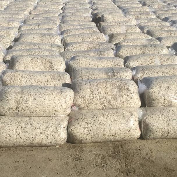 قیمت خرید به صرفه تفاله چغندر برای دام