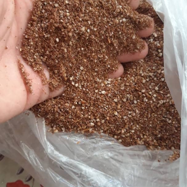 خرید مستقیم تفاله خرما برای گوسفند