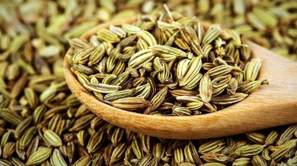 خرید و فروش عمده زیره سبز صادراتی