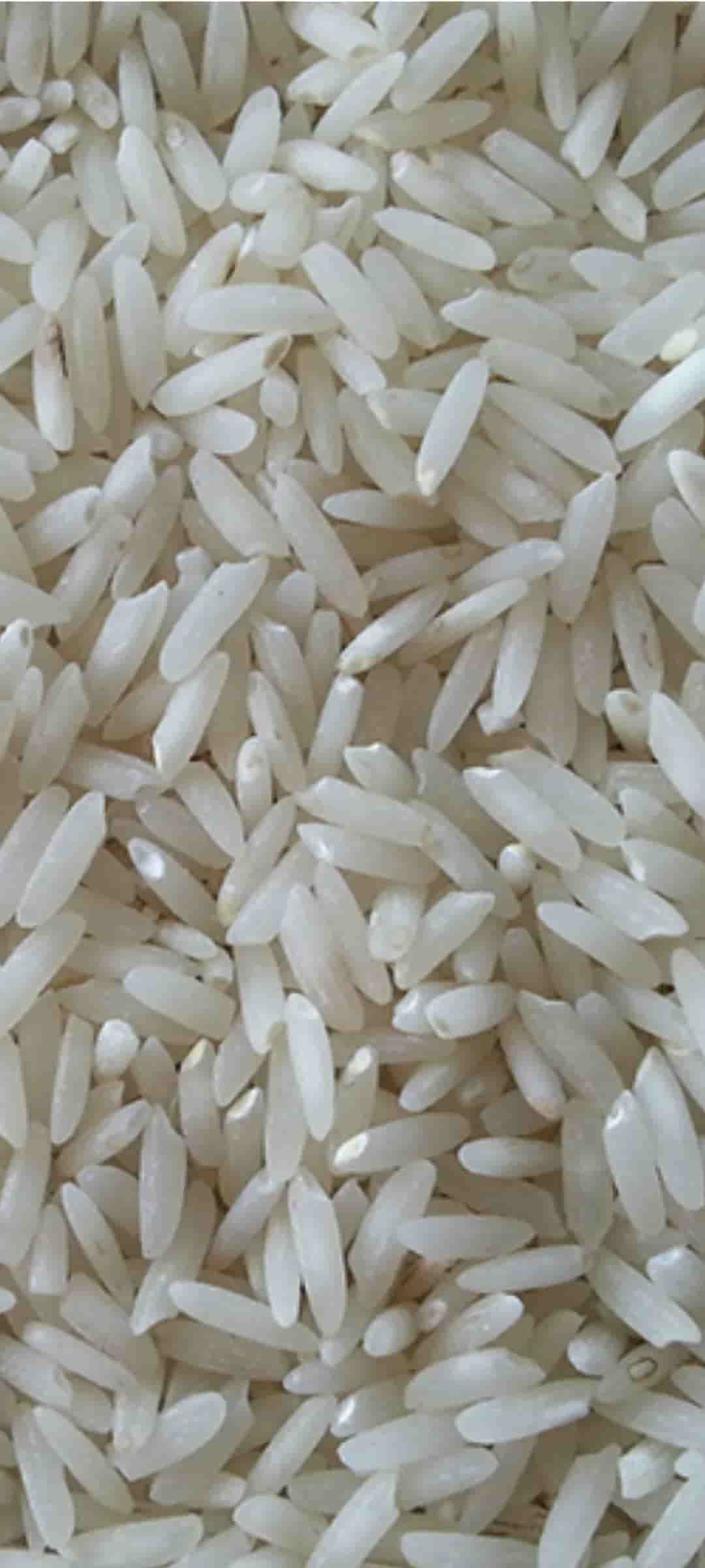 قیمت خرید برنج پاکستانی ۳۸۶ باسماتی