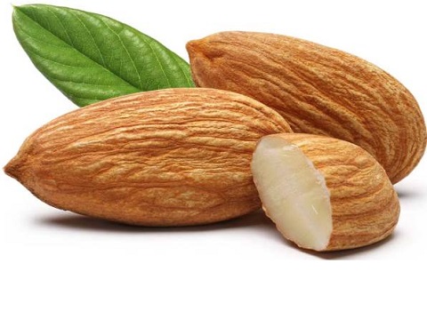 قیمت بادام مرغوب سنگی با مغز یکدست و درشت