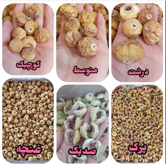 خریدانجیرخشک استهبان + فروشی ویژه