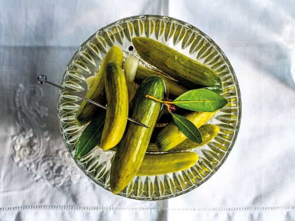 راهنمای خرید خیارشور دبه ای + قیمت عالی