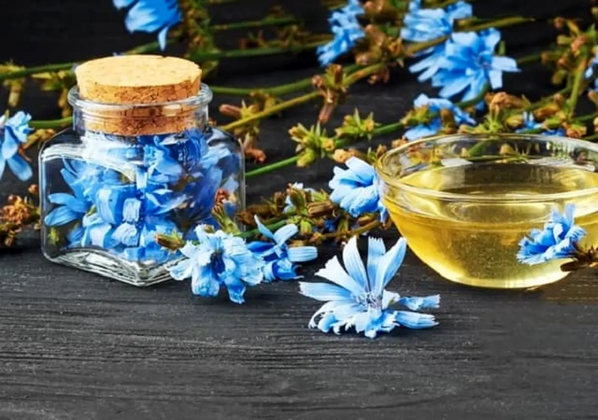 فروش ویژه شربت کاسنی یک لیتری + خرید آسان