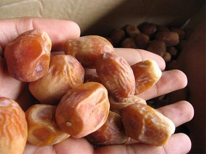 خرید جدیدترین انواع خرما زاهدی خشک صادراتی